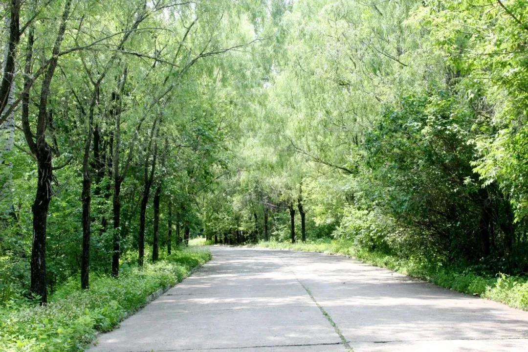 4F54D49429D61710B2800DC6CBD_4702C346_319FF.jpg?e= 918博天堂(中国区)官方网站