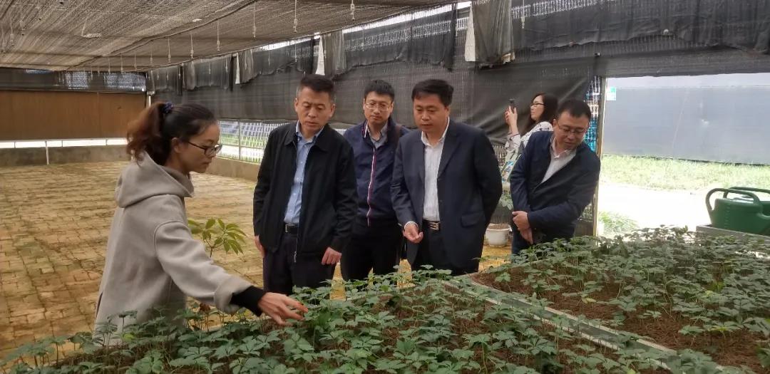 918博天堂(中国区)官方网站